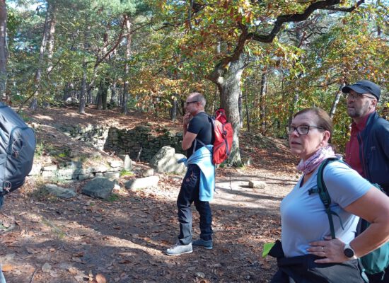 PfalzTour_2024_12